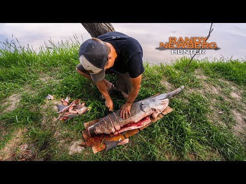 How To Clean &amp; Cook A Paddlefish
