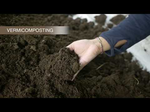 How to do vermicomposting on your farm