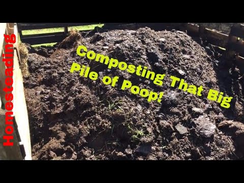 Composting Cow Manure