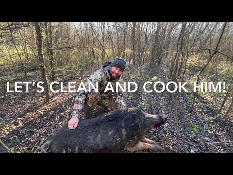 Catch Clean &amp; Cook MONSTER Wild Boar (Feed the hungry)