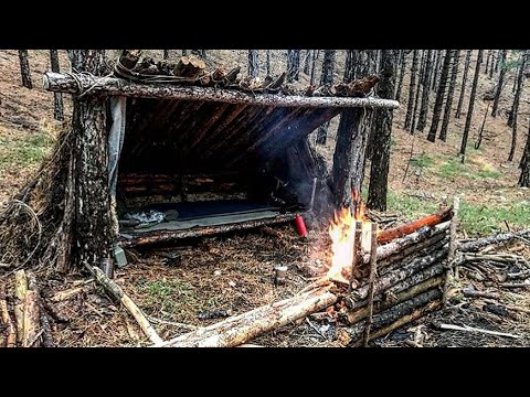 Building Natural Survival Shelter Lean-to Winter Bushcraft Overnighter in Bear Country