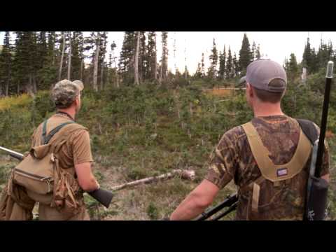 Steven Rinella Gets False-Charged By A Grizzly Bear in British Columbia on MeatEater