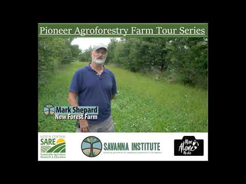 New Forest Farm (audio interview) - Agroforestry Farm Tour Series