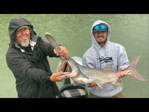 PADDLEFISH Snagging {Catch Clean Cook} REWARD TAG $$
