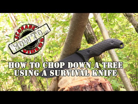 How to Chop Down a Tree Using a Survival Knife
