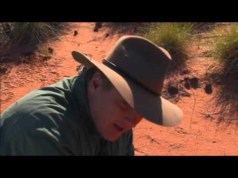 Ray Mears - Tracking in the Desert, Ray Mears Goes Walkabout