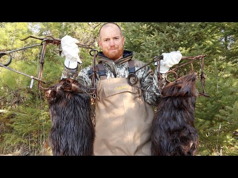 &quot;How And Where To Set Beaver Traps&quot; Beaver Trapping Basics Part 2