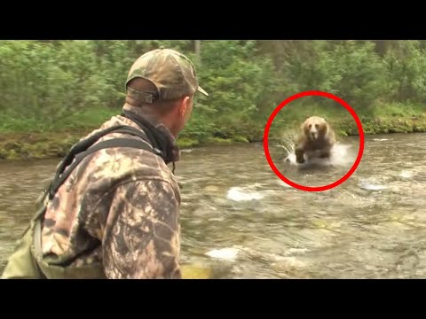 8 Bear Encounters You Really Shouldn&#039;t Watch