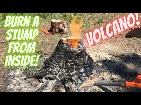 Cool way to remove a stump from the inside out. Stump burning. How long does it take?