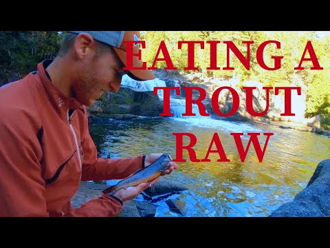Eating Brook Trout RAW! (Catch and Eat?)