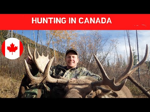 Hunting in Canada | Things You Must Know Before Hunting
