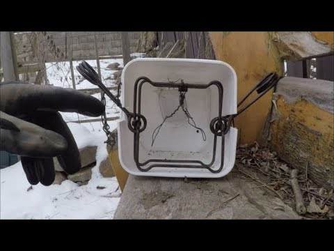 Raccoon Trapping | 220 Conibear Bucket Set