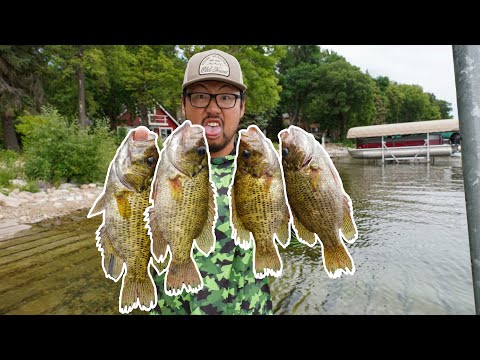DISGUSTING Rock Bass Catch &amp; Cook! (Is It Good?)