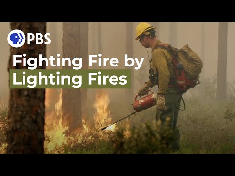 How Florida Firefighters Fight Wildfires with Fire