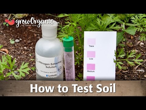 How to Use Soil Test Kits at Home