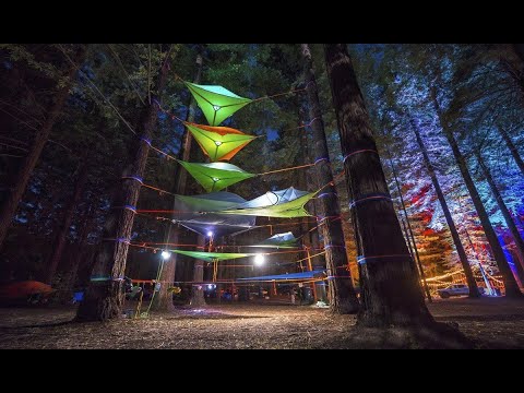 Camp in the trees : Tentsile &quot;connect&quot; tree tent - double hammock