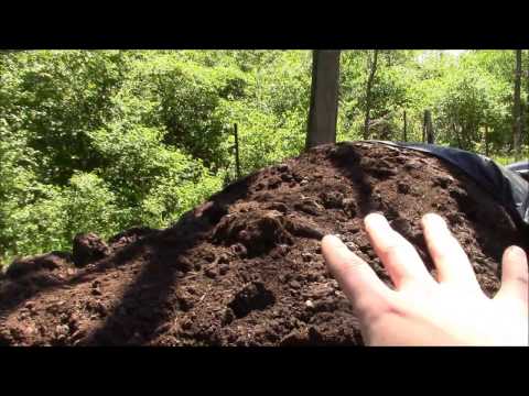 Composting on a Large Scale