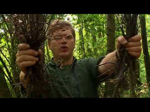 Ray Mears - How to Light a Fire, Bushcraft Survival