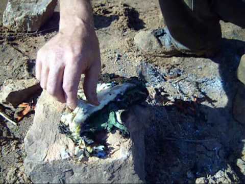 How to Cook a channel catfish with leave&#039;s,Wilderness survival