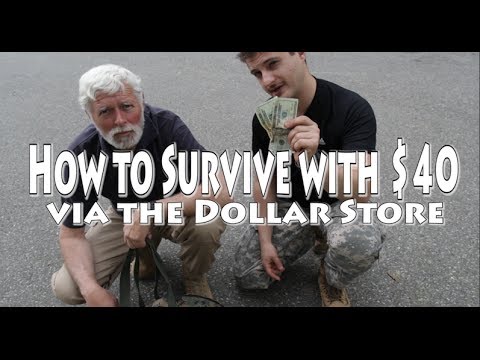 How to Survive with $40 via Dollar Store