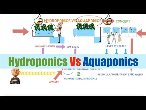 Hydroponics vs Aquaponics