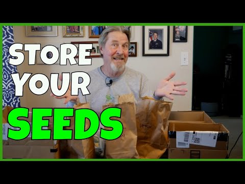 How to Save and Store Seeds