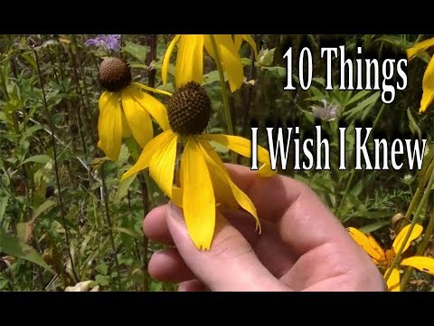 10 Things I WISH I KNEW When Starting To Forage Wild Edibles &amp; Medicinal Plants