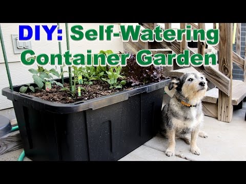DIY: Self-Watering Container Garden