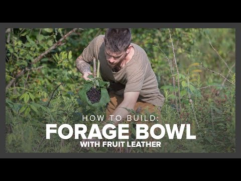 How to Create a Foraging Bowl &amp; Dried Fruit Leather | Surviving in the Wild