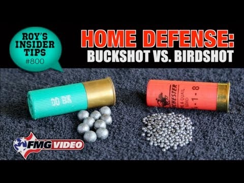 Home Defense: Buckshot vs. Birdshot