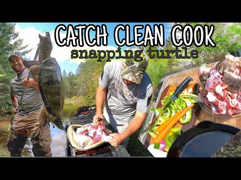SNAPPING TURTLE (Catch Clean Cook) - SURVIVAL FOOD