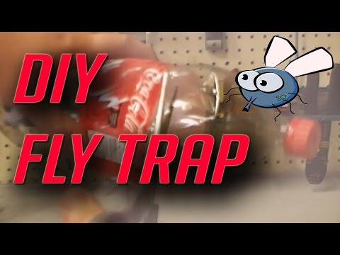 How To Make A Cheap Homemade Fly Trap With A Two Liter