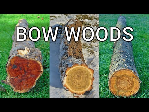What Wood to Use for Bow Making?