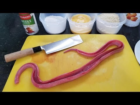Catch &amp; Cook Snake - Hunting Burmese Pythons by Hand