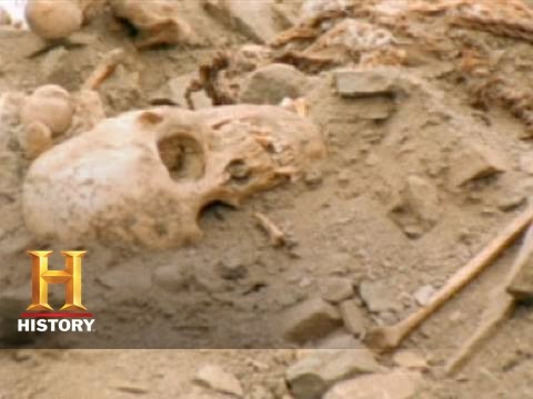 Life After People: 10,000 Years + After People | History