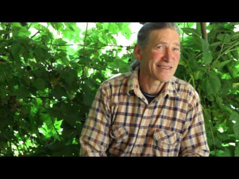 David Holmgren explains how you can change the world with permaculture