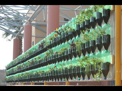 The Green Wall - Educational Vertical Garden Bottle System Project