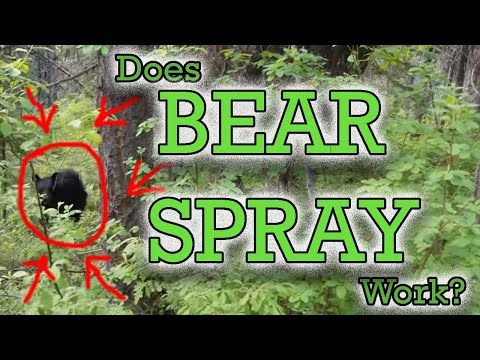 Does Bear Spray Work? First Hand Bear Encounter W/ Bear Spray