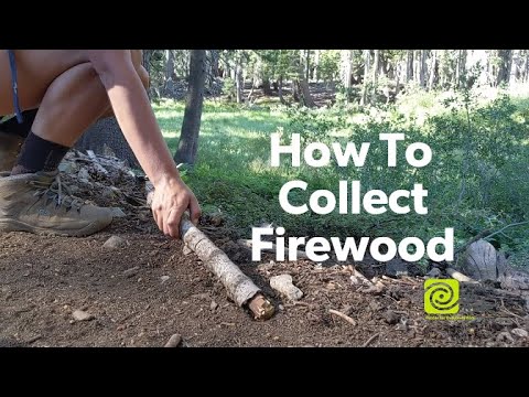 How To Collect Firewood