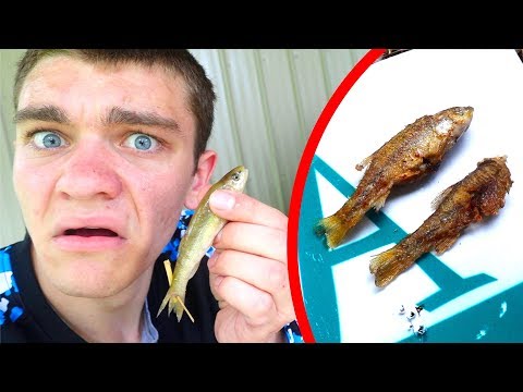 MINNOW CATCH &amp; COOK??? (Is It Even Possible?)