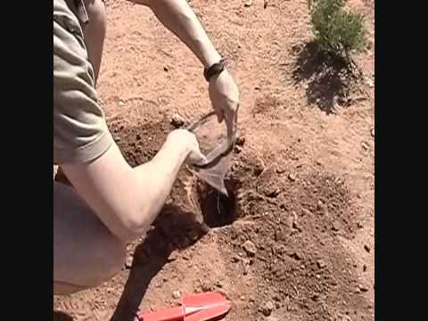 How To Dig A Cathole