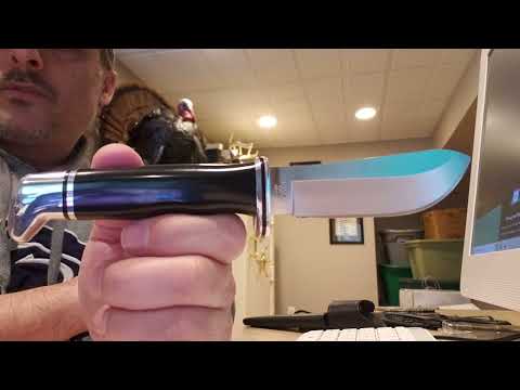 Buck Knife 103 Skinner Review