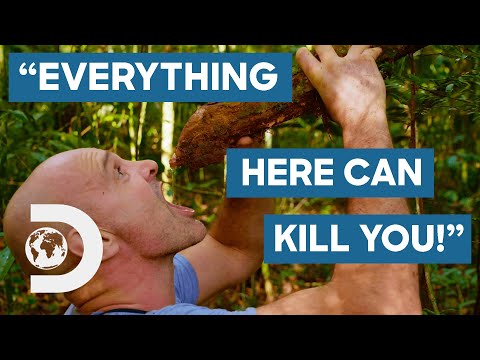 Facing The World&#039;s Deadliest Creatures In The Amazon Rainforest | Ed Stafford: First Man Out