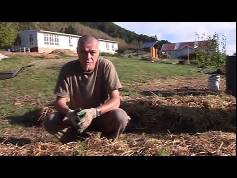 No dig garden construction - workshop