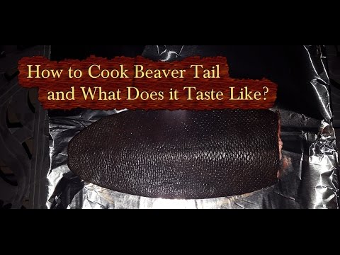 How to Cook Beaver Tail and What Does it Taste Like