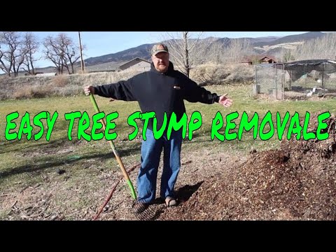 how to get rid of a tree stump naturally