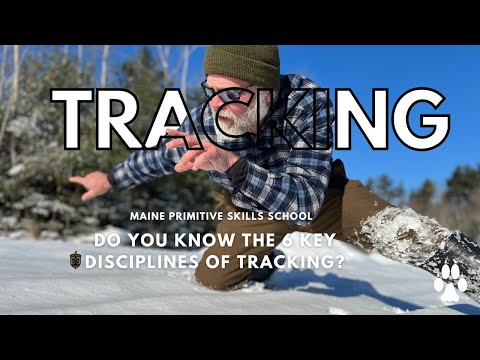 Tracking- The Six Disciplines of Tracking