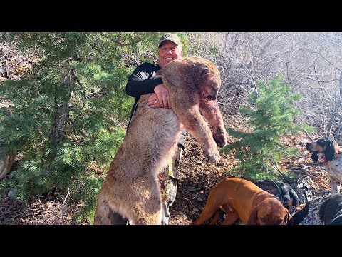Huge Utah Mountain Lion (Catch Clean Cook) Dads Dream Hunt Complete