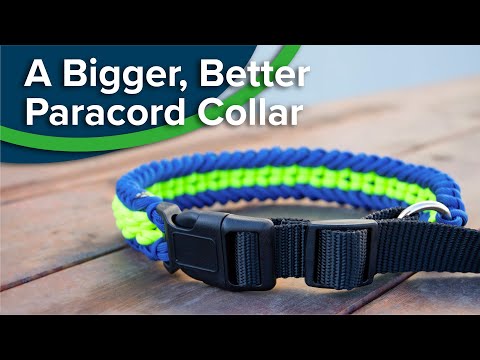 Heavy-Duty Adjustable Paracord Dog Collar