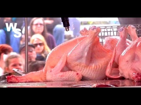 How To Butcher a Chicken Joel Salatin